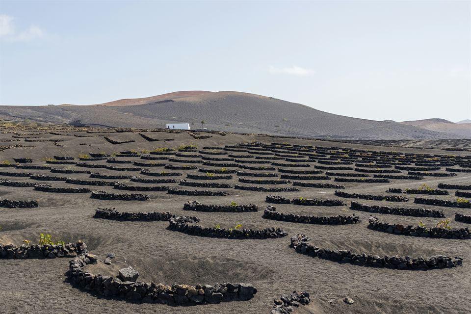 gescav-excursiones-sur-lanzarote- (2)