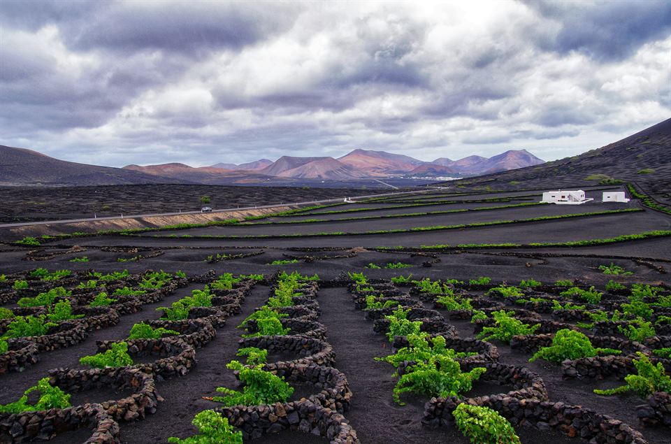 gescav-excursiones-sur-lanzarote- (6)